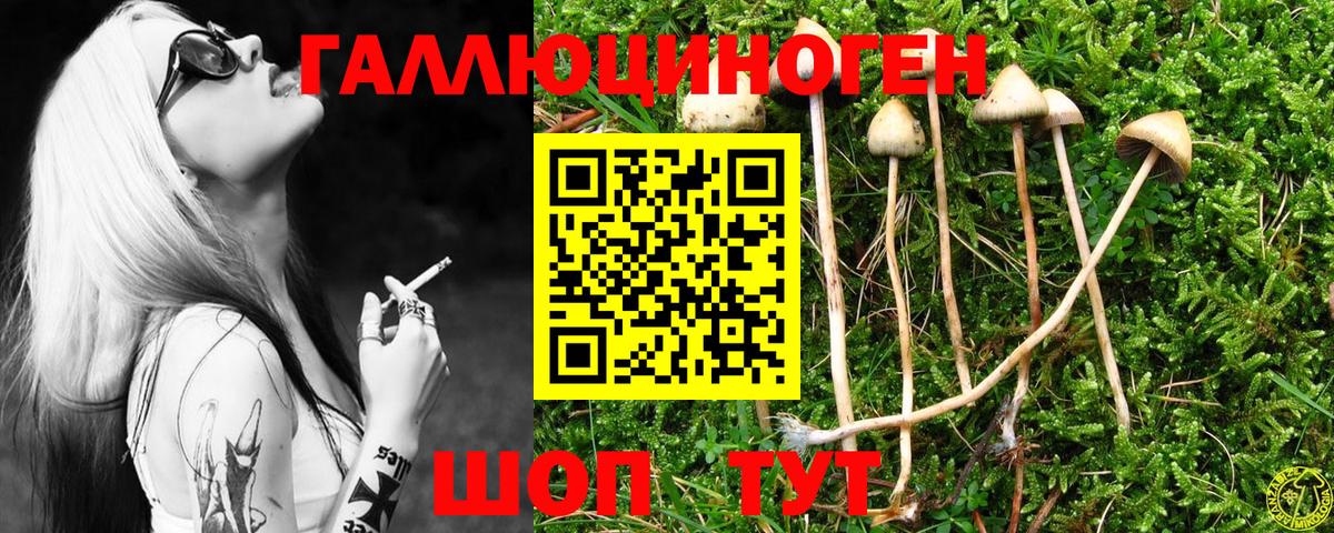 Галлюциногенные грибы GOLDEN TEACHER Волгоград