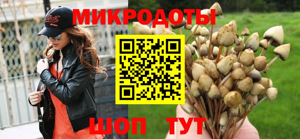 Волгоград  Галлюциногенные грибы Psilocybe  Вход с VPN  Псилоцибиновые грибы GOLDEN TEACHER 